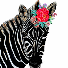 Load image into Gallery viewer, Zebra On Colour Giclée Print