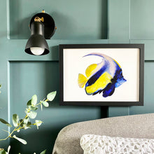 Load image into Gallery viewer, Angel Fish Giclée Print