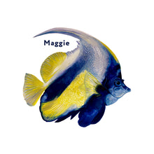 Load image into Gallery viewer, Angel Fish Giclée Print