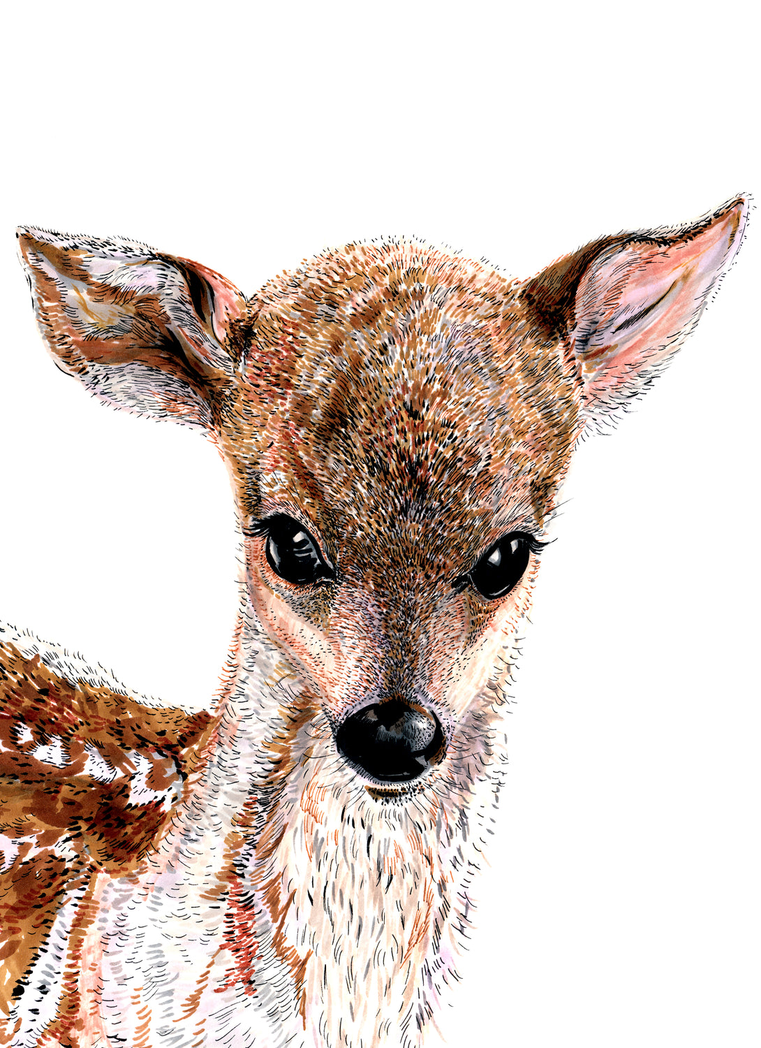 Bambi Giclée Print