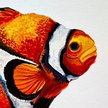 Load image into Gallery viewer, Clown Fish Giclée Print