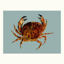Load image into Gallery viewer, Crab Giclée Print