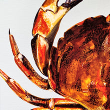 Load image into Gallery viewer, Crab Giclée Print