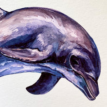 Load image into Gallery viewer, Dolphin Giclée Print