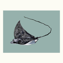 Load image into Gallery viewer, Eagle Ray Giclée Print
