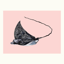 Load image into Gallery viewer, Eagle Ray Giclée Print