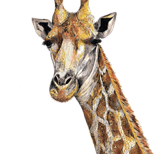 Load image into Gallery viewer, Giraffe Giclée Print