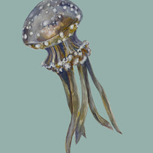 Load image into Gallery viewer, Jellyfish Giclée Print