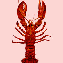 Load image into Gallery viewer, Lobster Giclée Print