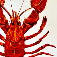 Load image into Gallery viewer, Lobster Giclée Print