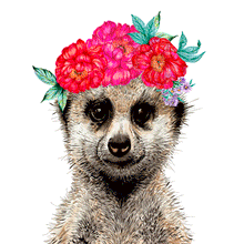 Load image into Gallery viewer, Meerkat Giclée Print