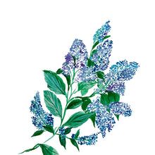 Load image into Gallery viewer, NHS Blue Floral Study Giclée Print