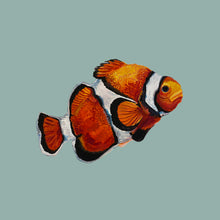 Load image into Gallery viewer, Clown Fish Giclée Print
