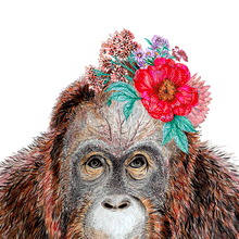 Load image into Gallery viewer, Orangutan Giclée Print
