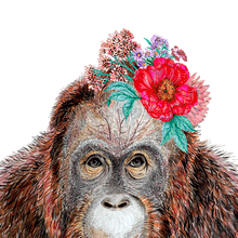 Load image into Gallery viewer, Orangutan Giclée Print
