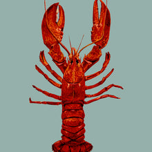 Load image into Gallery viewer, Lobster Giclée Print