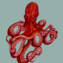 Load image into Gallery viewer, Octopus Giclée Print