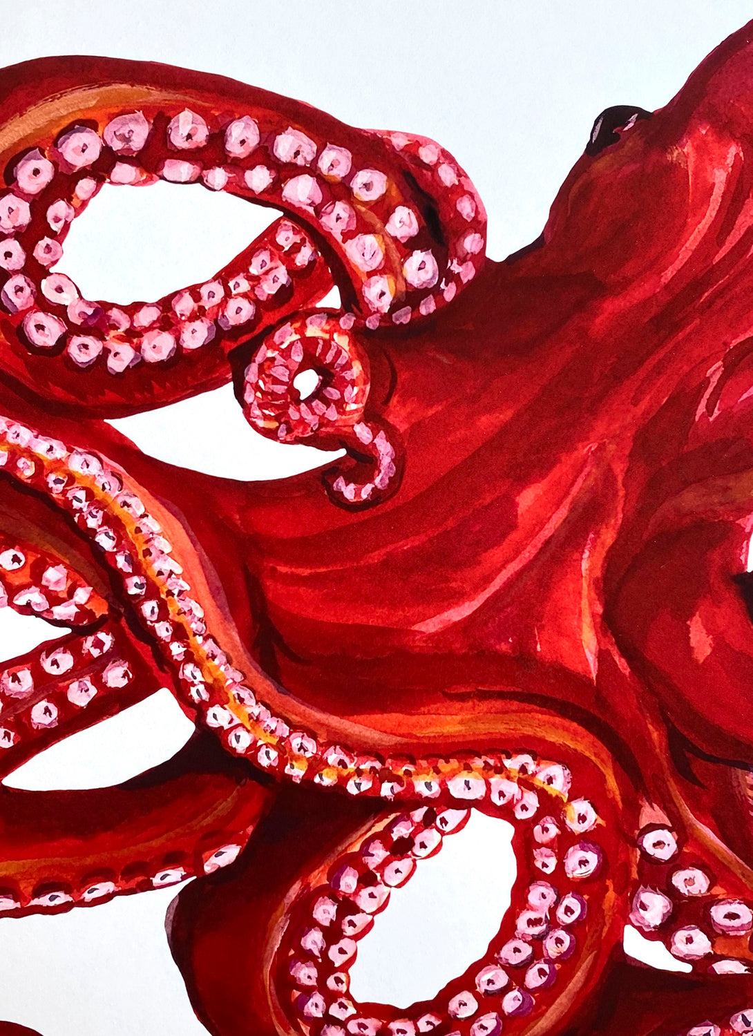 Octopus Giclée Print