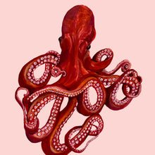 Load image into Gallery viewer, Octopus Giclée Print