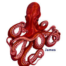Load image into Gallery viewer, Octopus Giclée Print