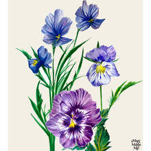 Load image into Gallery viewer, The Language of Flowers Pansy Giclée Print