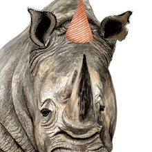 Load image into Gallery viewer, Rhino Giclée Print