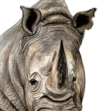 Load image into Gallery viewer, Rhino Giclée Print