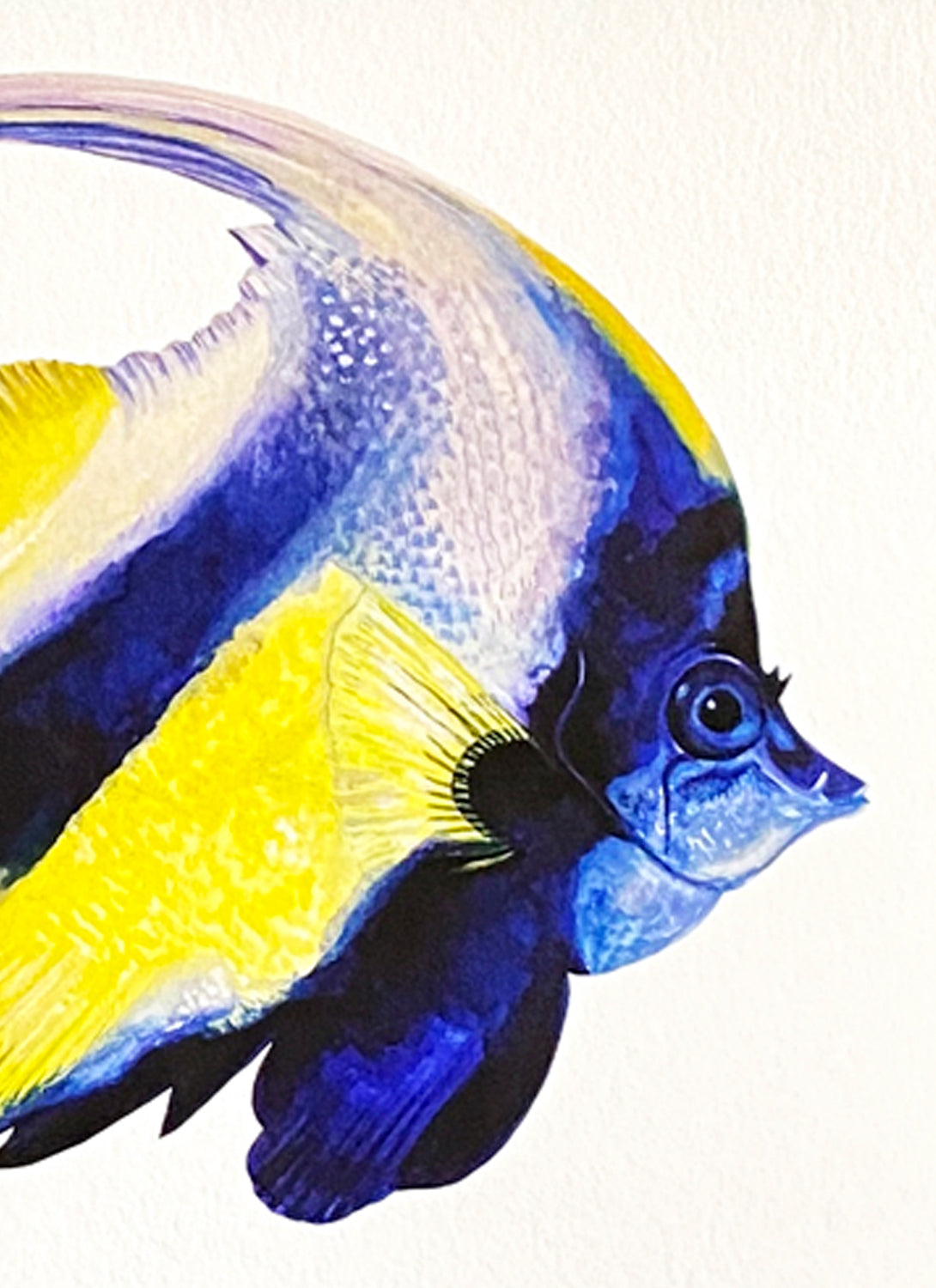 Angel Fish Giclée Print