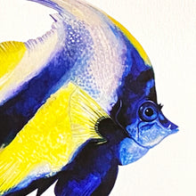 Load image into Gallery viewer, Angel Fish Giclée Print