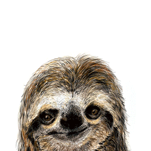 Load image into Gallery viewer, Sloth Giclee Print