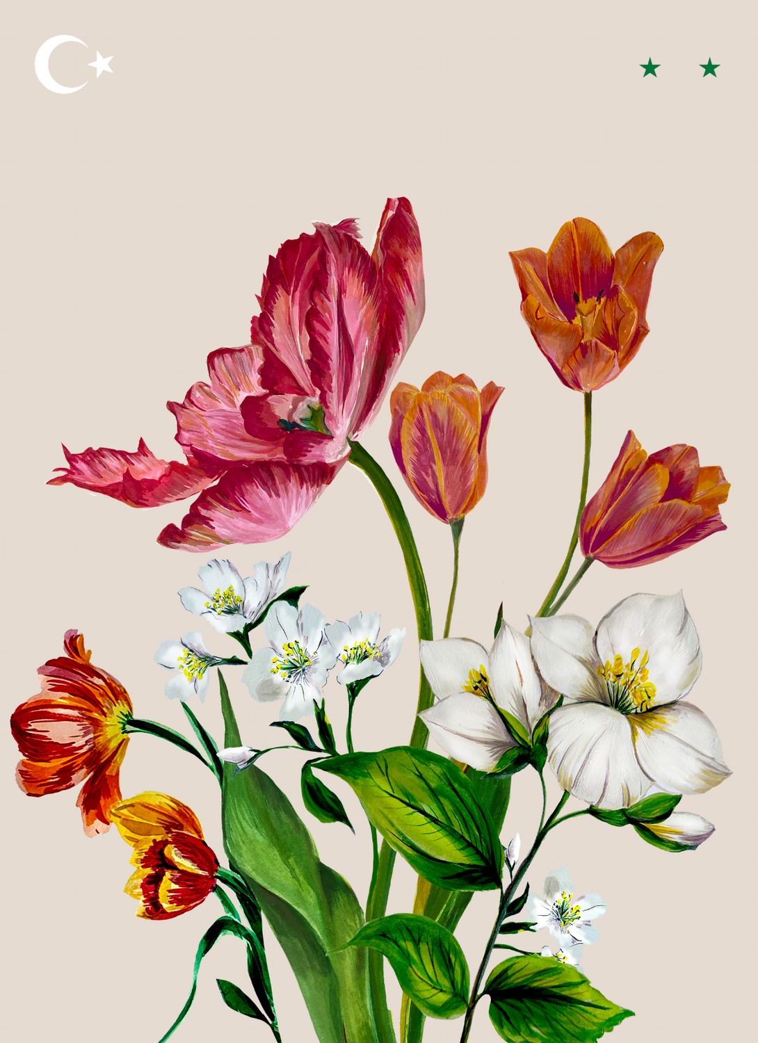 Jasmine & Tulips Giclée Print
