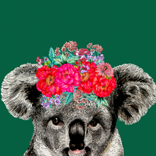 Load image into Gallery viewer, Koala On Colour Giclée Print
