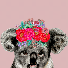 Load image into Gallery viewer, Koala On Colour Giclée Print

