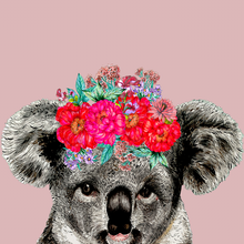 Load image into Gallery viewer, Koala On Colour Giclée Print