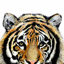 Load image into Gallery viewer, Tiger Giclée Print