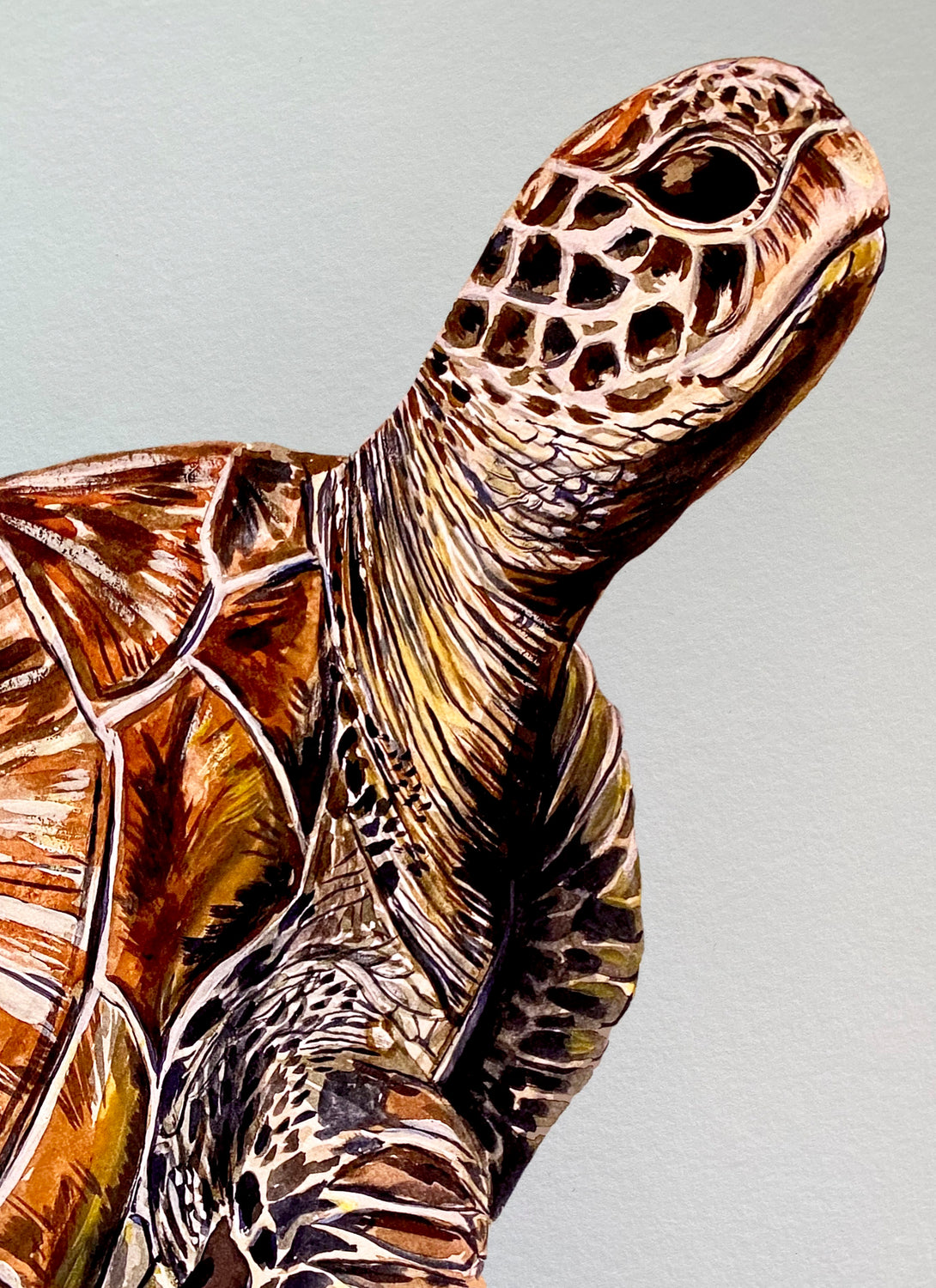 Sea Turtle Giclée Print