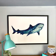 Load image into Gallery viewer, Tiger Shark Giclée Print