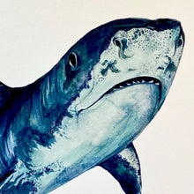 Load image into Gallery viewer, Tiger Shark Giclée Print