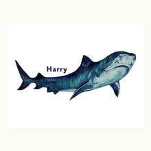 Load image into Gallery viewer, Tiger Shark Giclée Print