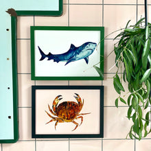 Load image into Gallery viewer, Tiger Shark Giclée Print