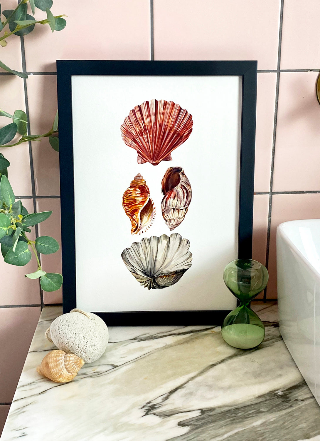 Shell Giclée Print