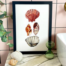 Load image into Gallery viewer, Shell Giclée Print