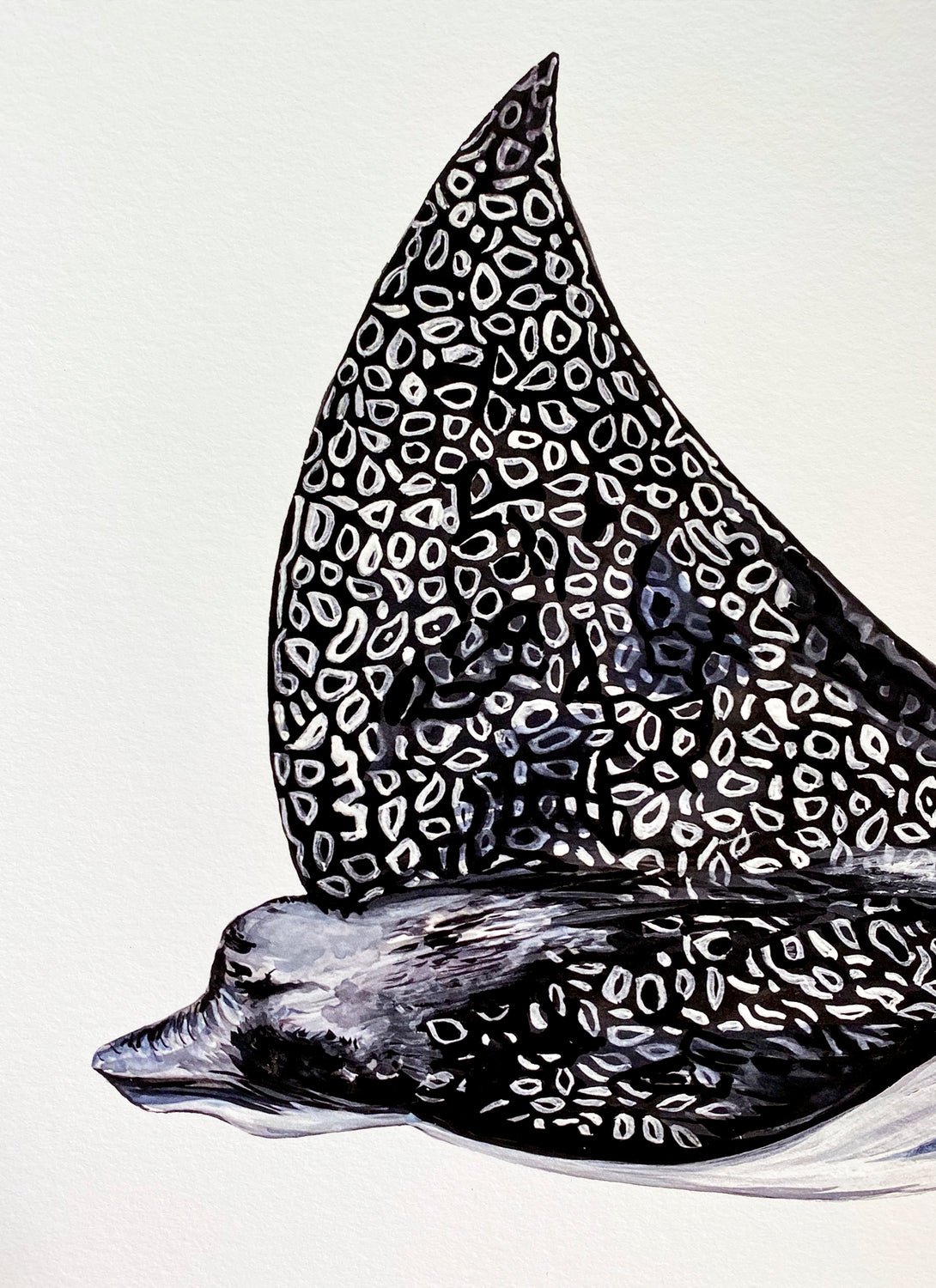 Eagle Ray Giclée Print