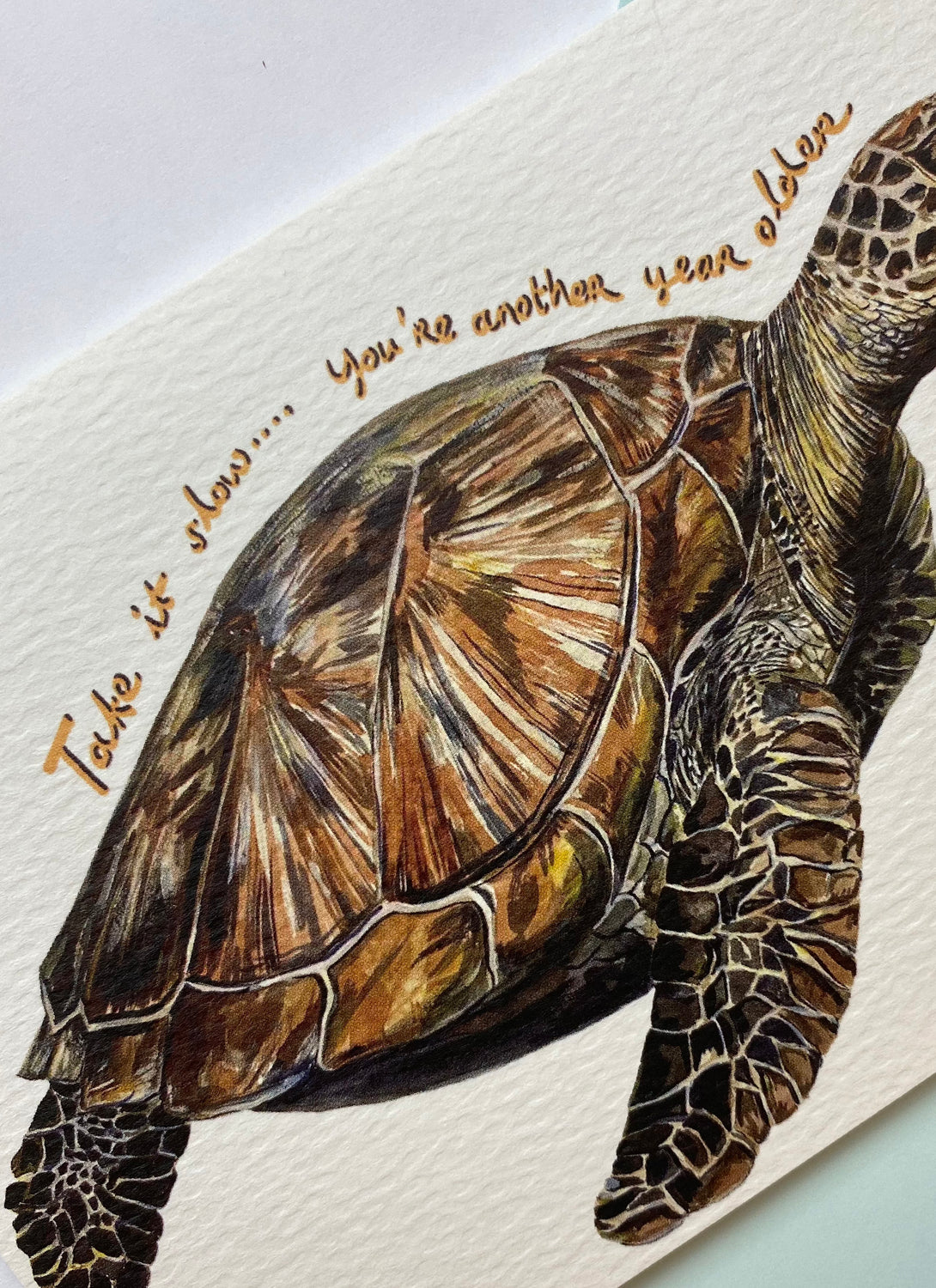 Take it Slow Turtle Card