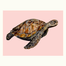 Load image into Gallery viewer, Sea Turtle Giclée Print