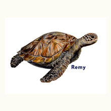 Load image into Gallery viewer, Sea Turtle Giclée Print