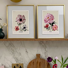 Load image into Gallery viewer, The Language of Flowers Peonies Giclée Print