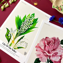 Load image into Gallery viewer, The Language of Flowers Lily Of The Valley Giclée Print