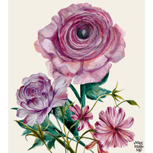 Load image into Gallery viewer, The Language of Flowers Ranunculus Giclée Print
