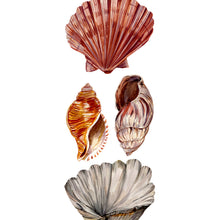 Load image into Gallery viewer, Shell Giclée Print
